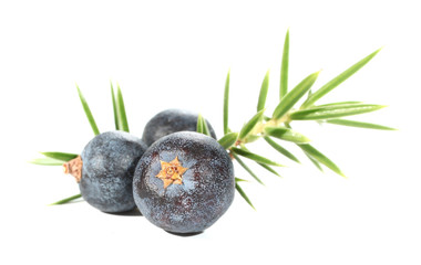 Juniperus berries