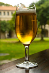 A refreshing glass of beer