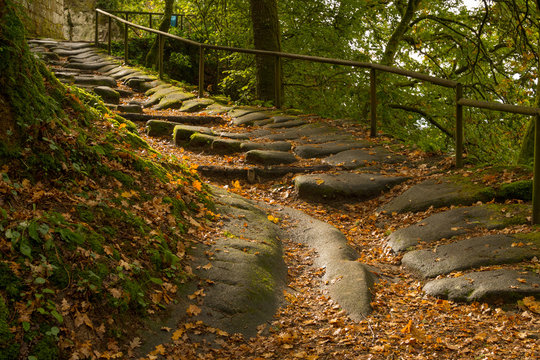 A rock staircase in autumn forest