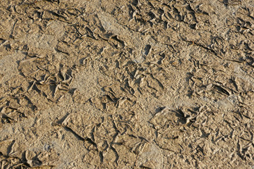 dirt desert  4