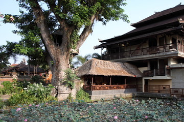Fototapeta na wymiar Baum neben Balinesisches Haus mit Lotusblüte im See