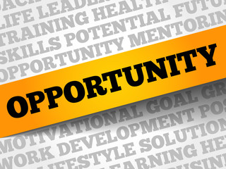 Opportunity word cloud, business concept