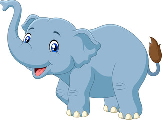 Cute cartoon elephant isolated on white background