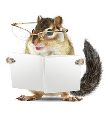 Funny animal chipmunk with glasses reading book