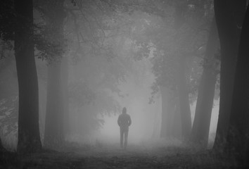Man walking alone in a lane on a foggy, autumn morning. Shallow D.O.F. - obrazy, fototapety, plakaty