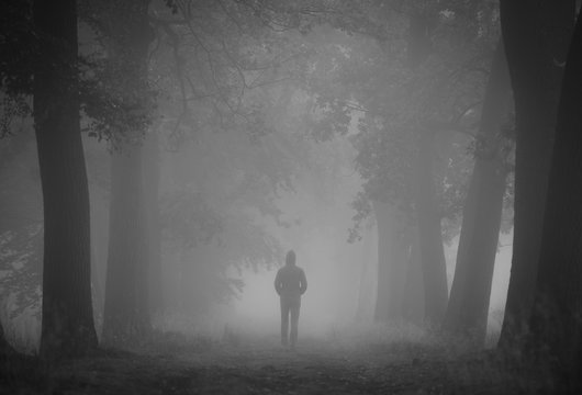 Fototapeta Man walking alone in a lane on a foggy, autumn morning. Shallow D.O.F.