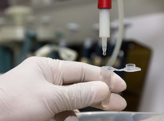 test purify protein