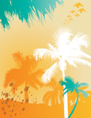 Palm tree background with grunge and space for text