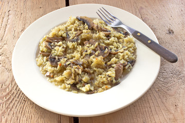 Risotto with mushrooms on plate with fork