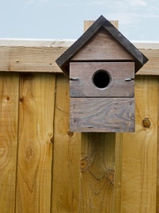 Rustic bird nestbox, nesting box on garden fence