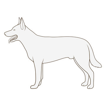 Dog side view scheme silhouette vector