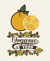 organic and healthy food 