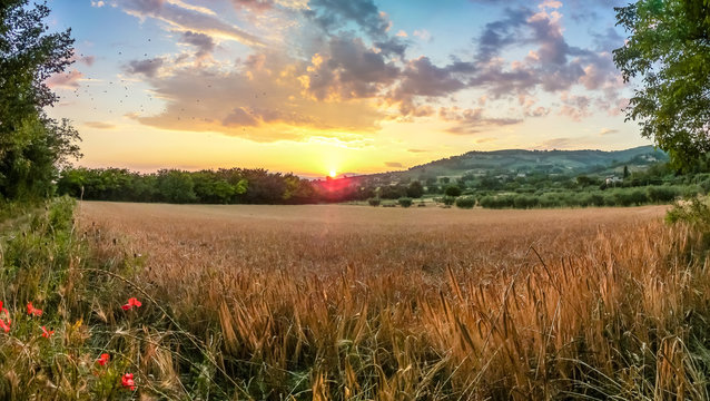 Beautiful harvest field near Assisi at sunset, Umbria, Italy