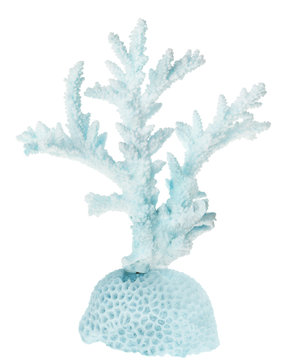 isolated blue color coral branch