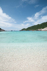 beautiful beach tropical sea
