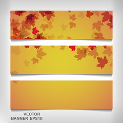 Naklejka na ściany i meble Set of colorful autumn leaves banners