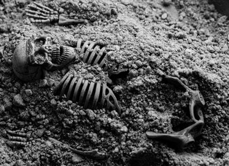 human bone in soil black and white