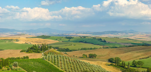 Scenic Tuscany landscape at sunset, Val d'Orcia, Italy