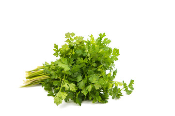 Fresh garden herbs. Parsley.