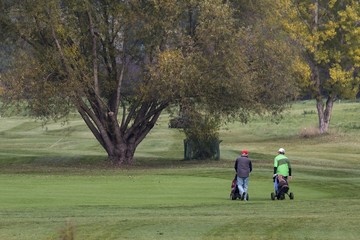 Naklejka premium People move around the golf course