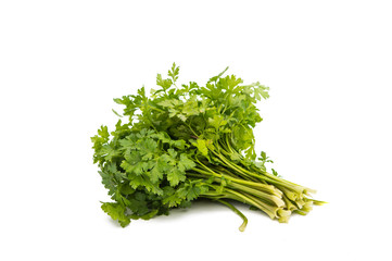 Fresh garden herbs. Parsley.