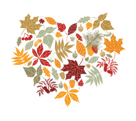 Autumn leaves in the shape of heart. Nature elements vector collection. Autumn leaves card. 