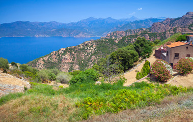 Fototapeta na wymiar Rural landscape of Piana region, South Corsica