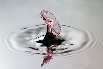 Beautiful high speed image of a water drop experiment