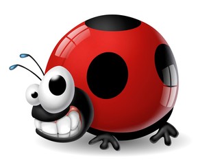 Obraz premium coccinella