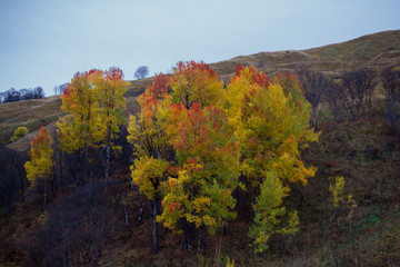 Autumn mountain landscape