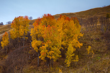 Fototapeta premium Autumn mountain landscape
