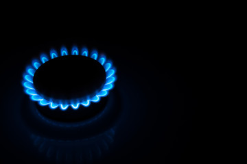 burning gas stove hob blue flames close up in the dark on a black background