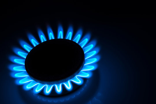 burning gas stove hob blue flames close up in the dark on a black background
