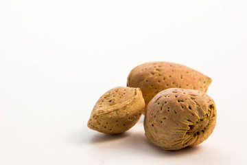 close up nut on a white background 