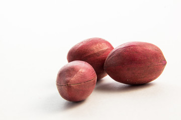 Obraz premium close up nut on a white background 