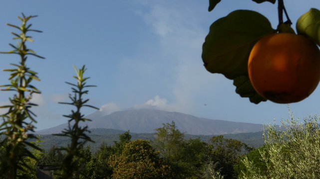 Etna Volcano and caki fruit