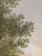 FOGLIE E CIELO CRACKLE