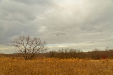 Autumn landscape