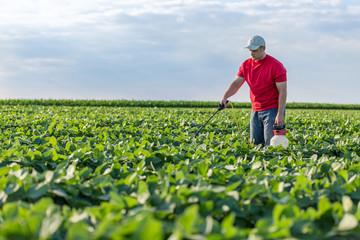 Farmer spraying soybean plants