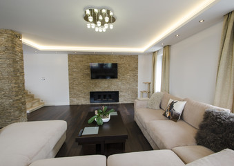 Modern living room