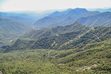 Fototapeta premium Unberührte Wälder und Seen in Amerika