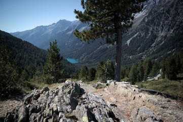 Fototapeta na wymiar Bergwelt um den Staller Sattel, Südtirol - Osttirol