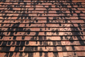 Terracotta roof tiles