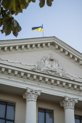 Fototapeta na wymiar Ukrainian flag