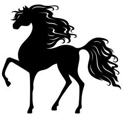 Elegant horse silhouette.
