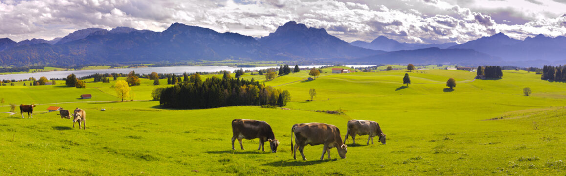 Panorama Landschaft in Bayern mit Forggensee im Allg&auml;u und der Bergkette der Alpen 