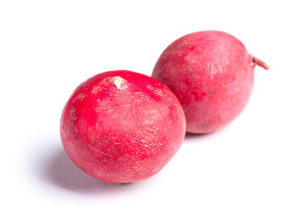 Obraz premium Small garden radish