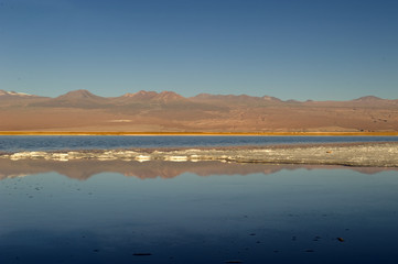 Cejas lagoon, Atacama desert, Chile