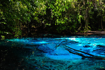 Amazing nature, Blue pond in the jungle