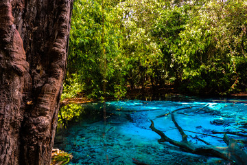 Amazing nature, Blue pond in the jungle